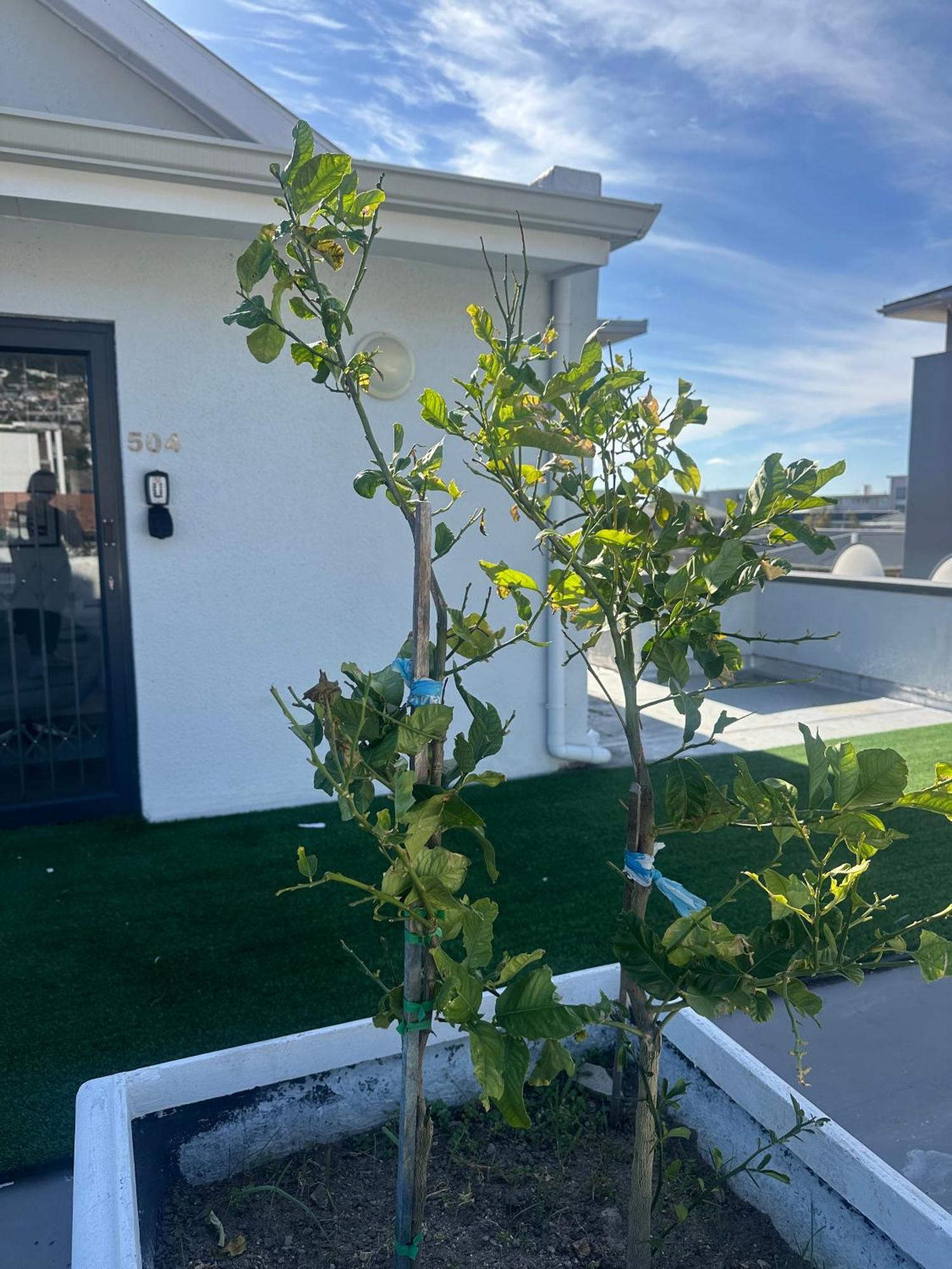 Camborne Holiday Apartments كيب تاون المظهر الخارجي الصورة
