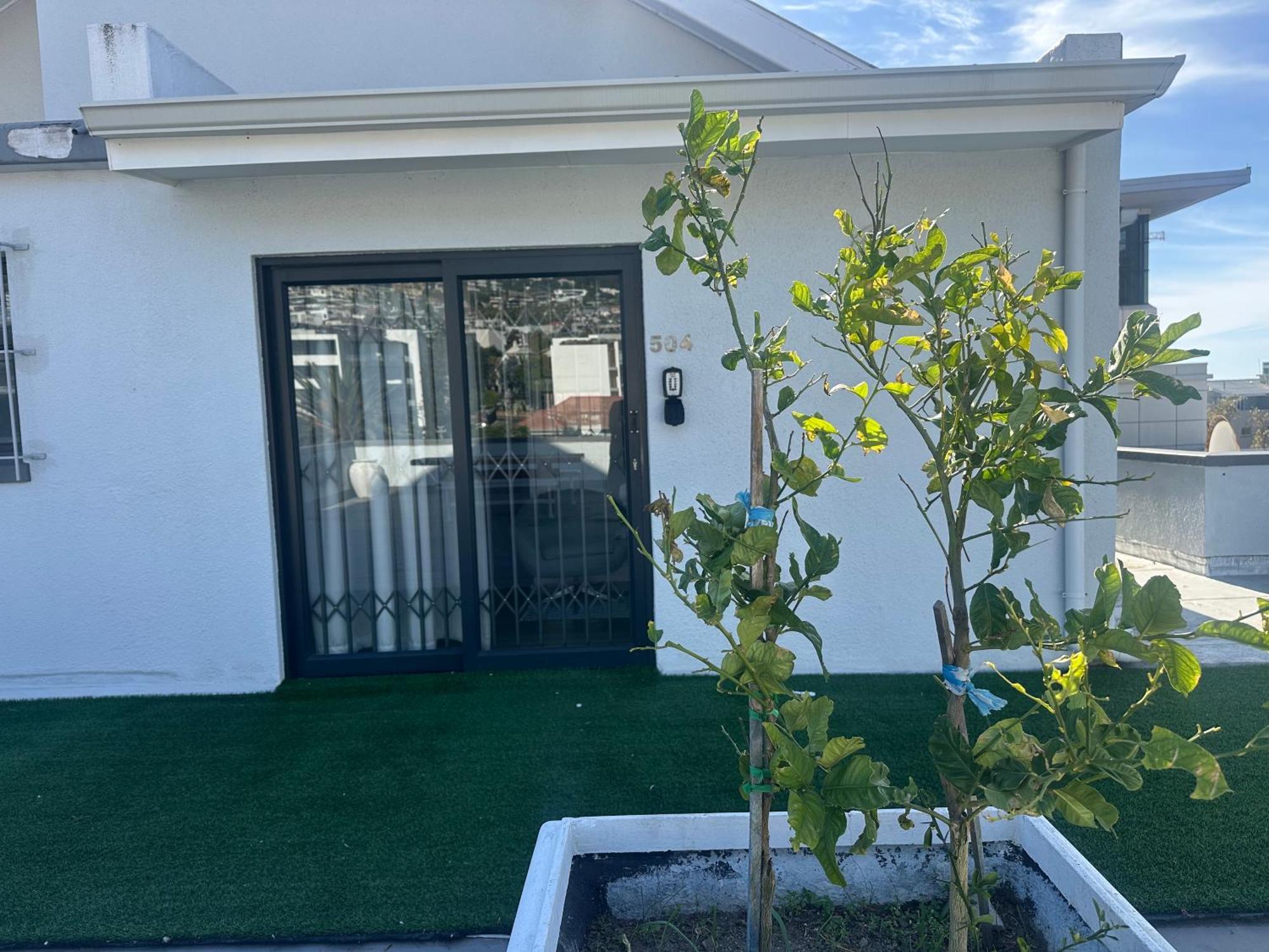 Camborne Holiday Apartments كيب تاون المظهر الخارجي الصورة